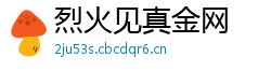 烈火见真金网